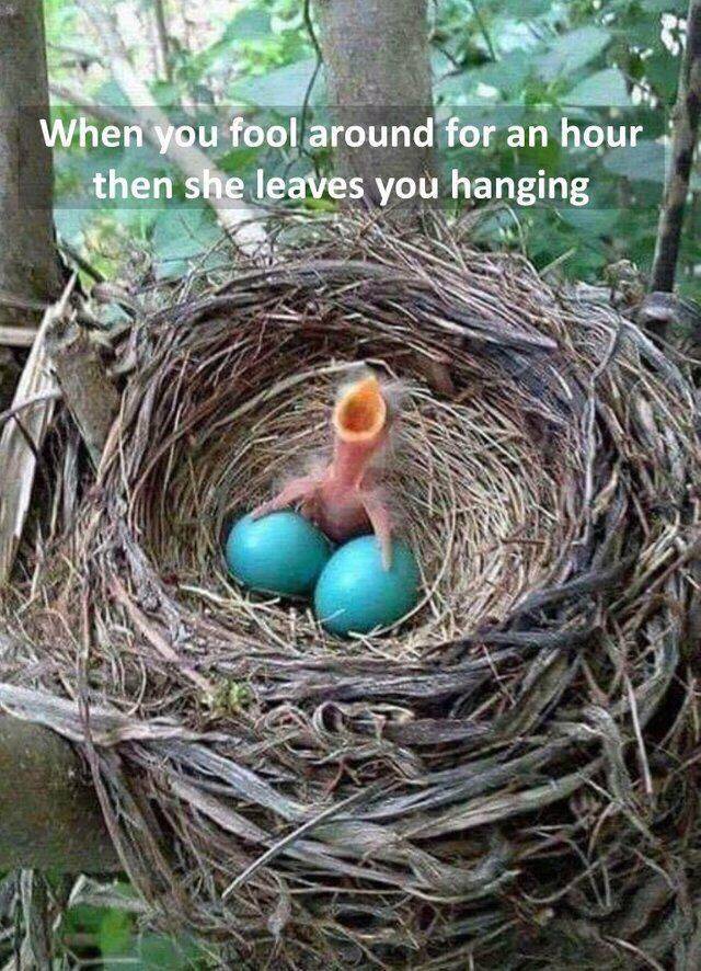 Dirty Mind, Come Here!