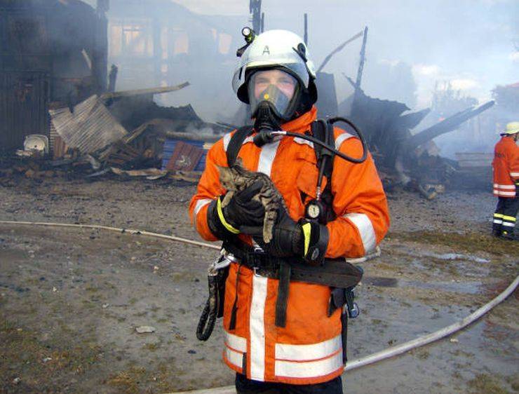 daily picdump 95 pics 12.html - 95 HD Photos | Premium Gallery 2019