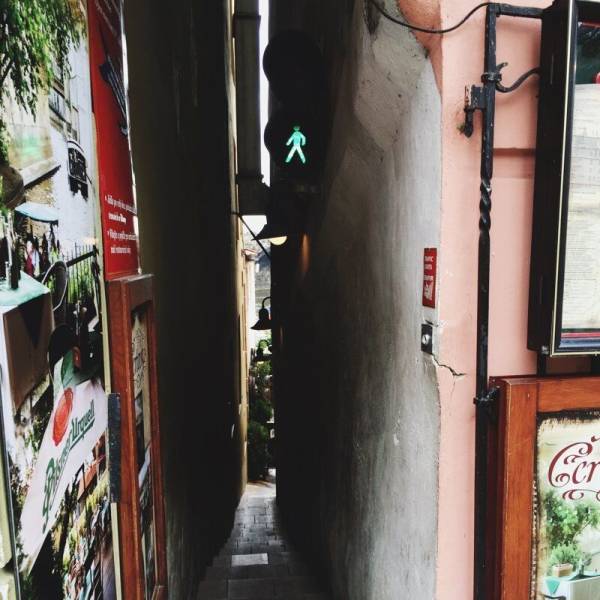 daily picdump 95 pics 12.html - 95 HD Photos | Premium Gallery 2019