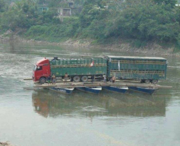 daily picdump 95 pics 12.html - 95 HD Photos | Premium Gallery 2019