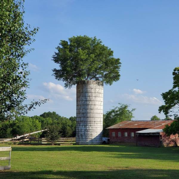 daily picdump 95 pics 12.html - 95 HD Photos | Premium Gallery 2019