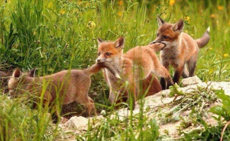 daily picdump 95 pics 12.html - 95 HD Photos | Premium Gallery 2019