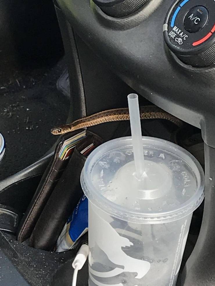 daily picdump 95 pics 12.html - 95 HD Photos | Premium Gallery 2019