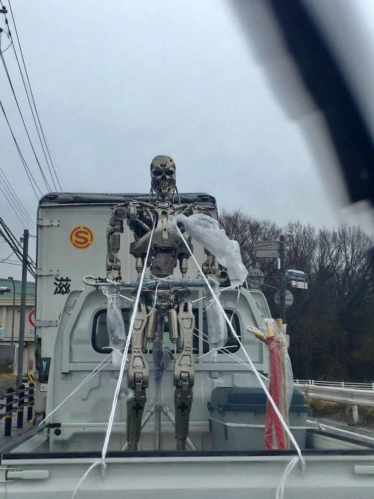 daily picdump 95 pics 12.html - 95 HD Photos | Premium Gallery 2019