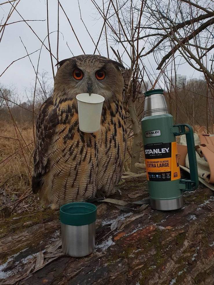 daily picdump 95 pics 12.html - 95 HD Photos | Premium Gallery 2019