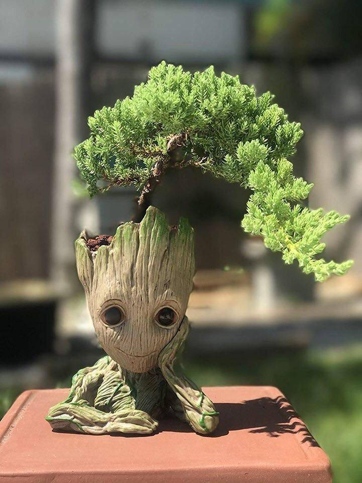 daily picdump 95 pics 12.html - 95 HD Photos | Premium Gallery 2019