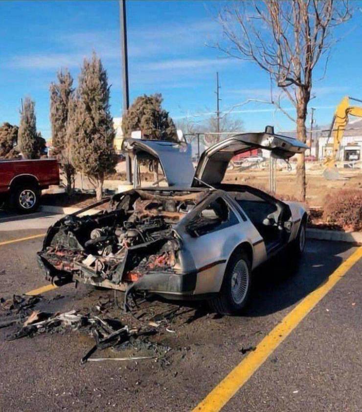 daily picdump 95 pics 12.html - 95 HD Photos | Premium Gallery 2019