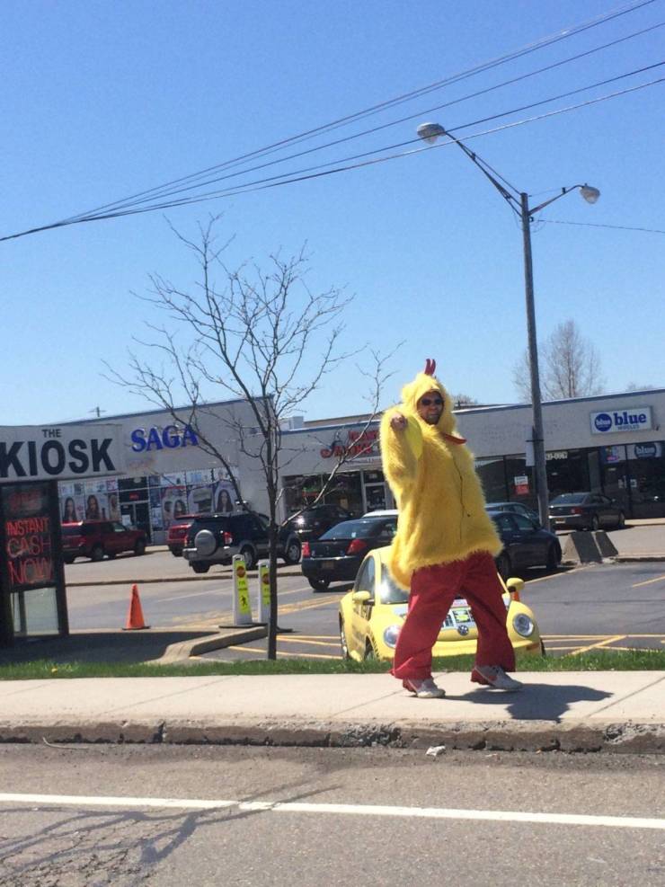 daily picdump 95 pics 12.html - 95 HD Photos | Premium Gallery 2019