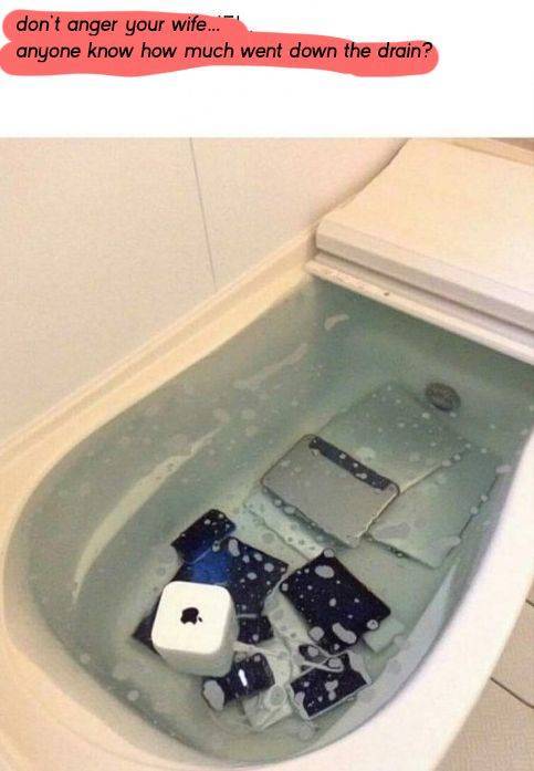 daily picdump 95 pics 12.html - 95 HD Photos | Premium Gallery 2019