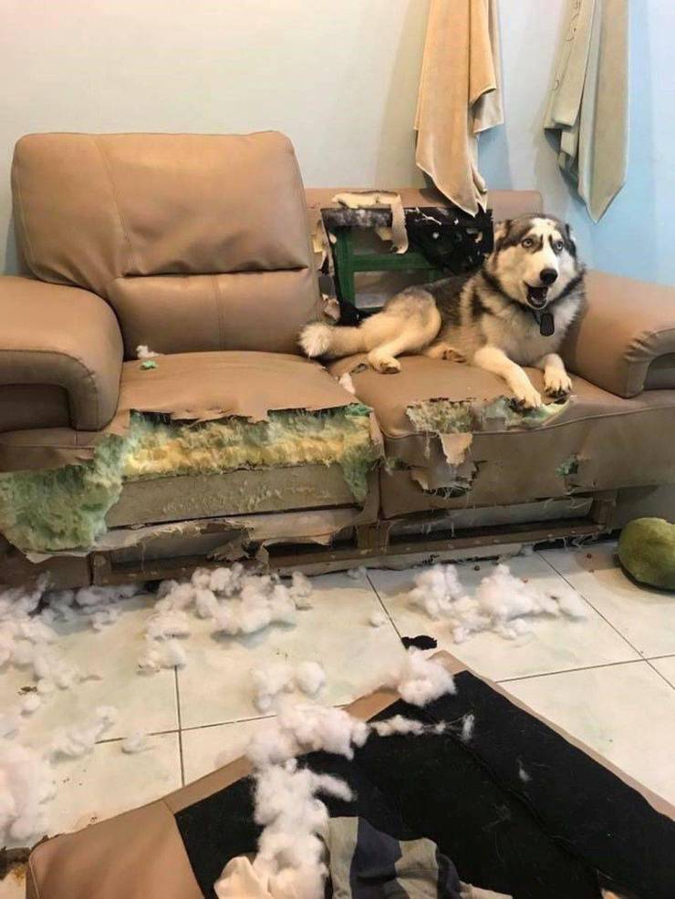 morning picdump 54 pics 12.html - 54 HD Photos | Premium Gallery 2019