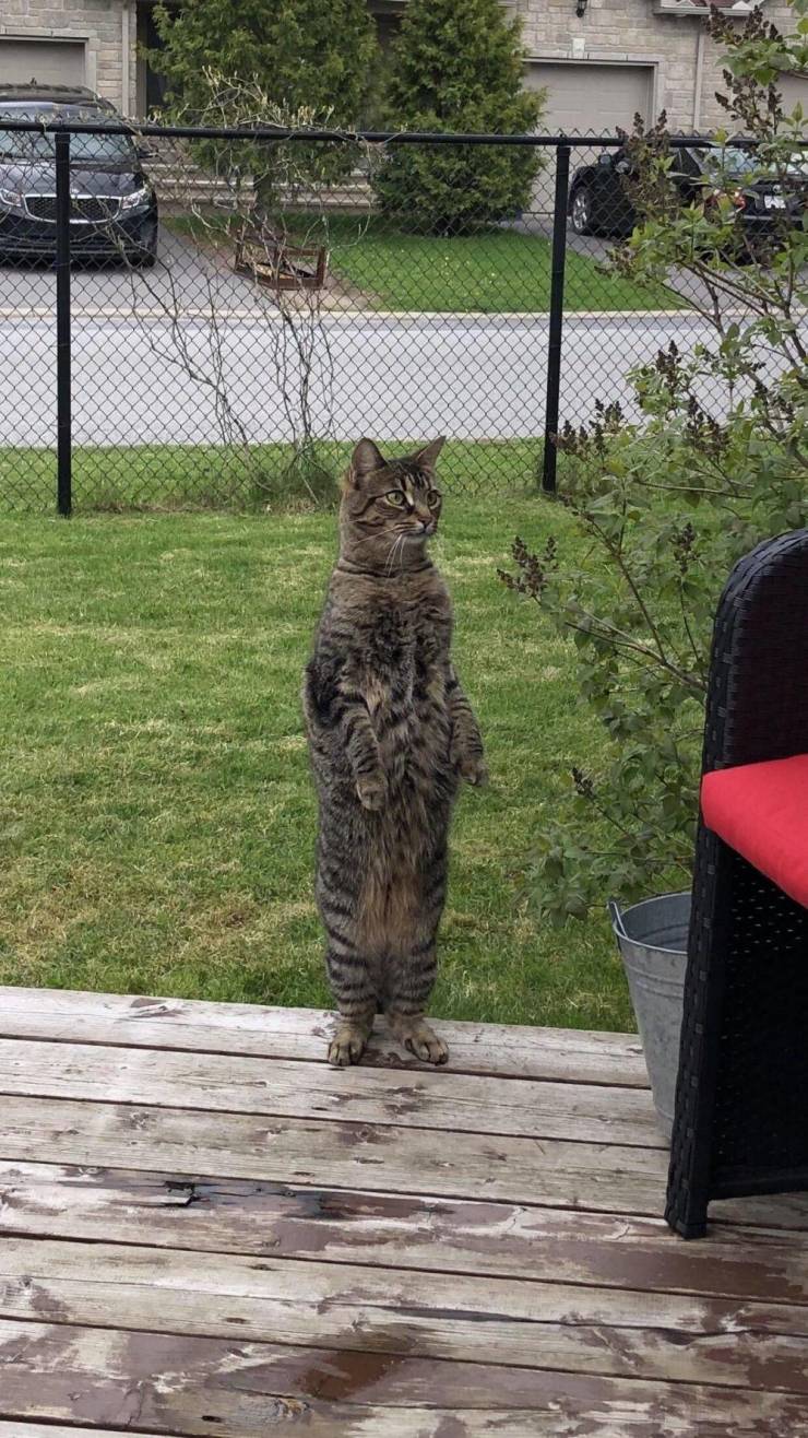 morning picdump 54 pics 12.html - 54 HD Photos | Premium Gallery 2019