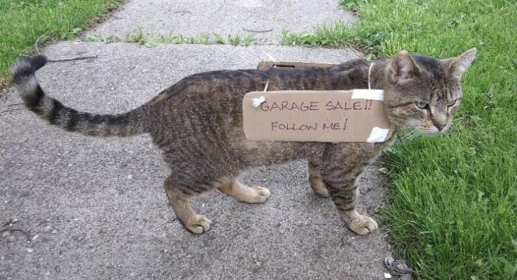 page,19,top 750 daily pics of the year 2019.html - 1 HD Photos | Premium Gallery 2019