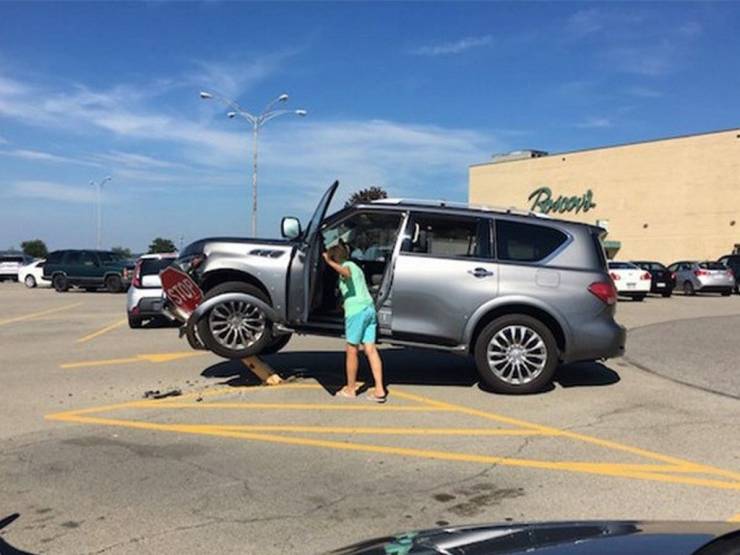 daily picdump 100 pics 6.html - 100 HD Photos | Premium Gallery 2019