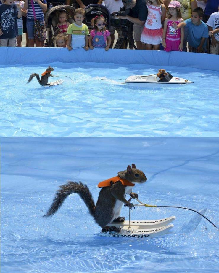 daily picdump 100 pics 6.html - 100 HD Photos | Premium Gallery 2019