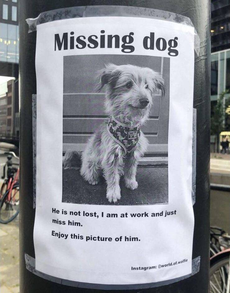 Daily Picdump