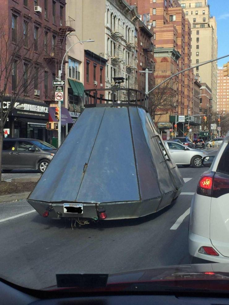 Daily Picdump