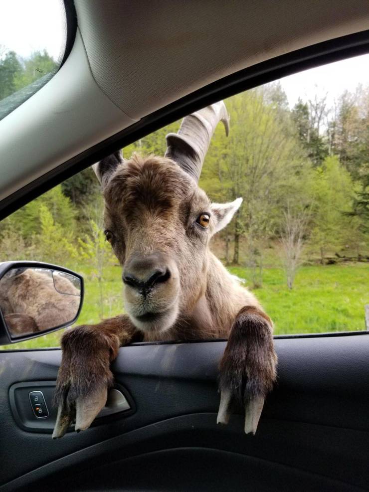 Daily Picdump