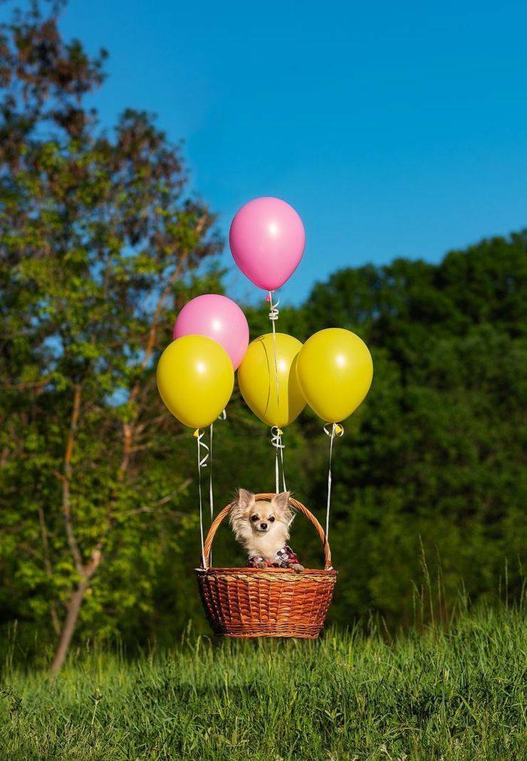 daily picdump 100 pics 6.html - 100 HD Photos | Premium Gallery 2019