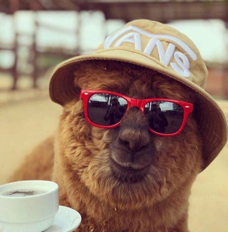 daily picdump 100 pics 6.html - 100 HD Photos | Premium Gallery 2019