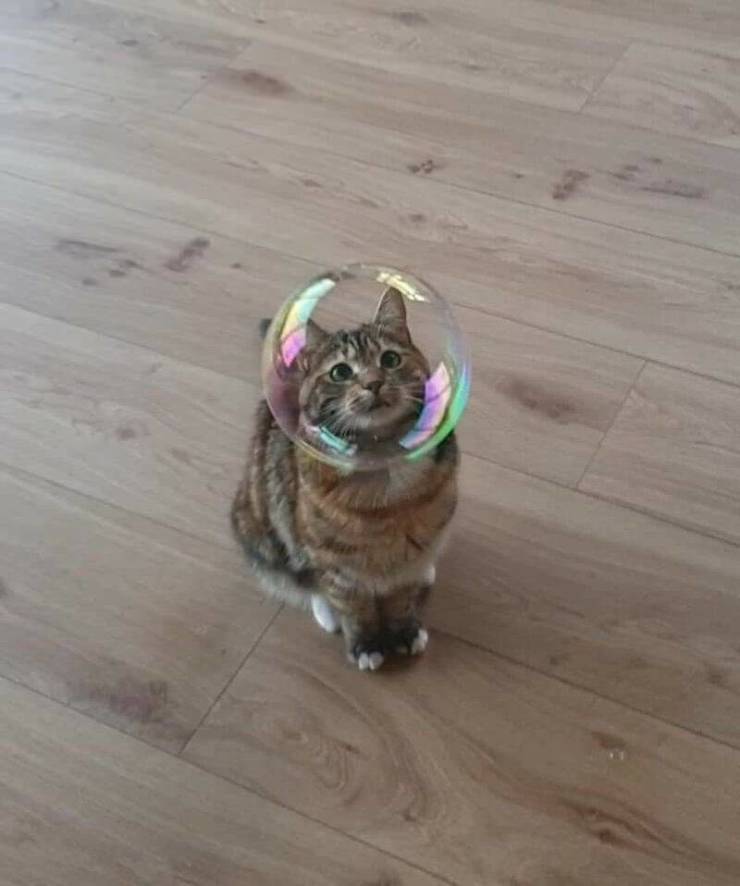 daily picdump 100 pics 6.html - 100 HD Photos | Premium Gallery 2019