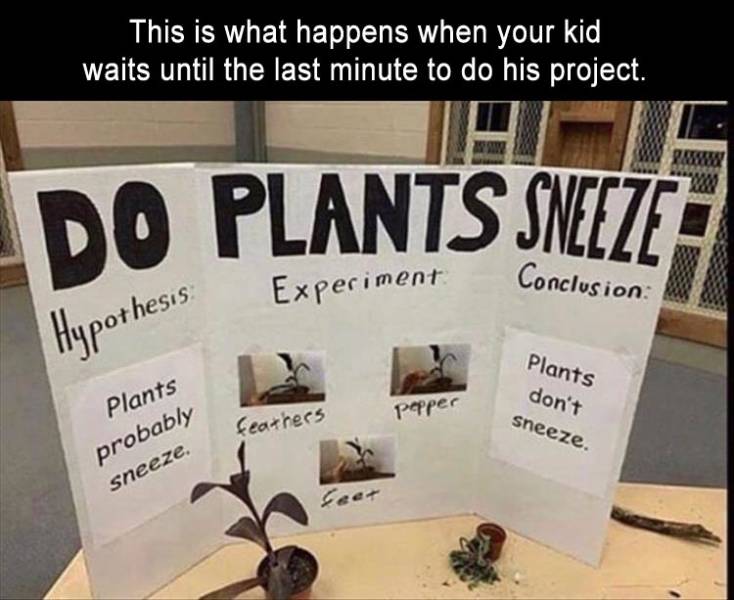 funny picdump 53 pics 20.html - 53 HD Photos | Premium Gallery 2019