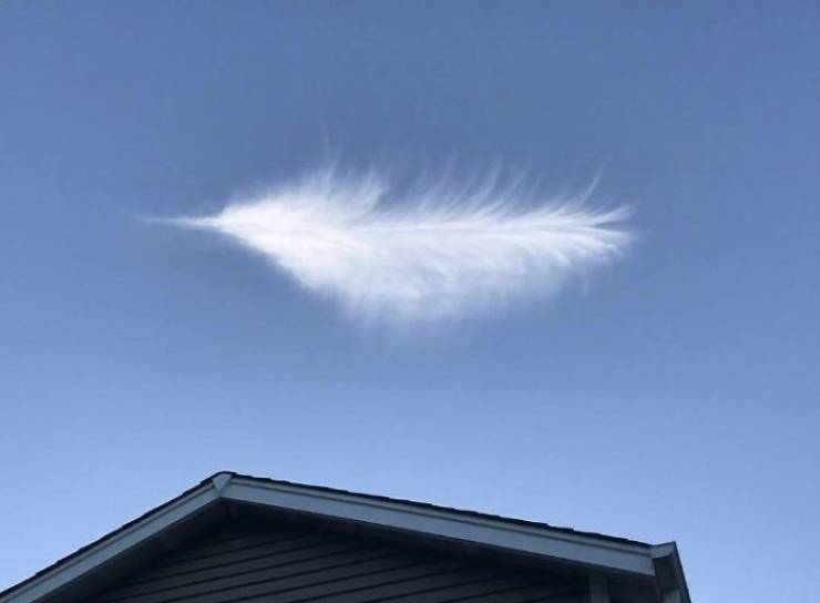 What You See Does Not Exist