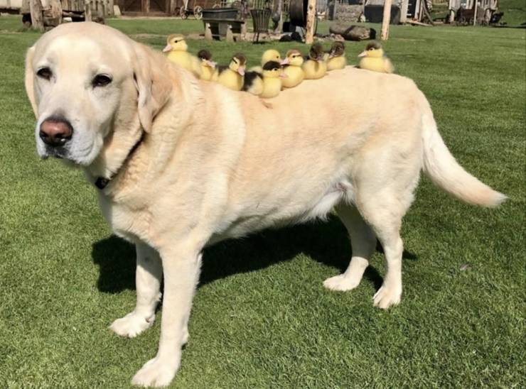 page,14,top 750 daily pics of the year 2019.html - 1 HD Photos | Premium Gallery 2019