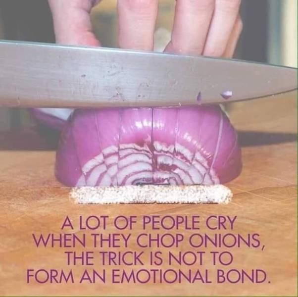 funny picdump 50 pics 13.html - 50 HD Photos | Premium Gallery 2019