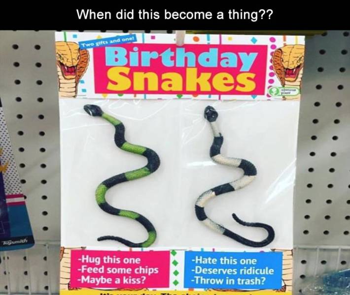funny picdump 50 pics 13.html - 50 HD Photos | Premium Gallery 2019