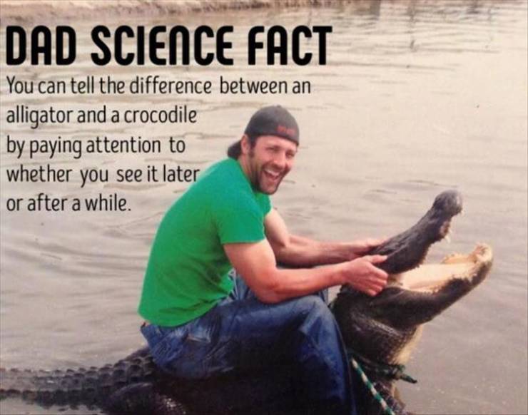funny picdump 50 pics 13.html - 50 HD Photos | Premium Gallery 2019