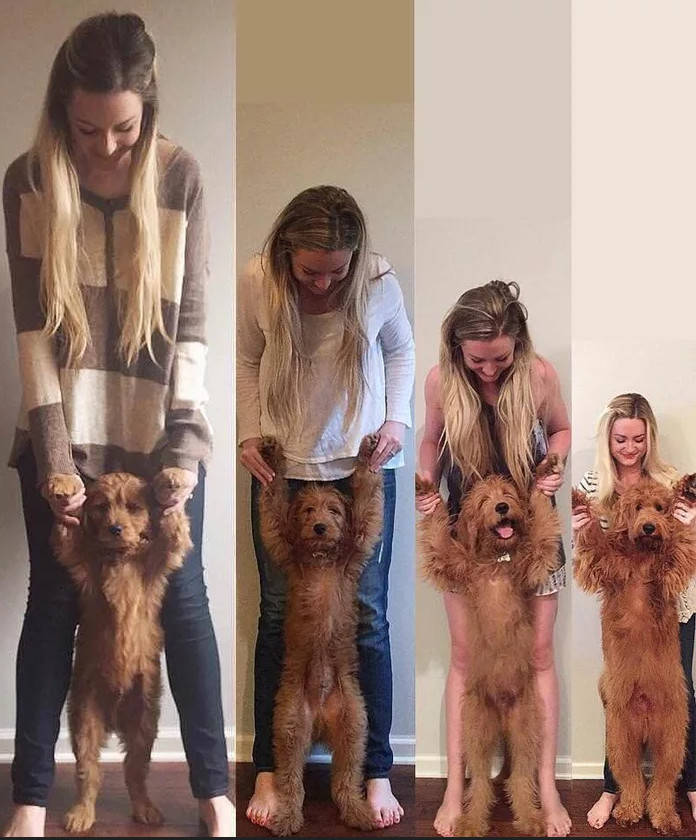 funny picdump 50 pics 13.html - 50 HD Photos | Premium Gallery 2019
