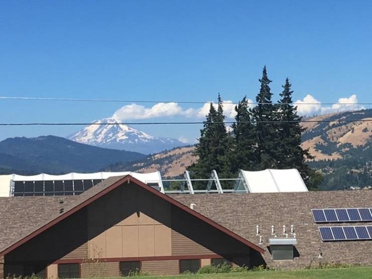 Coincidences Like These Don’t Happen Every Day