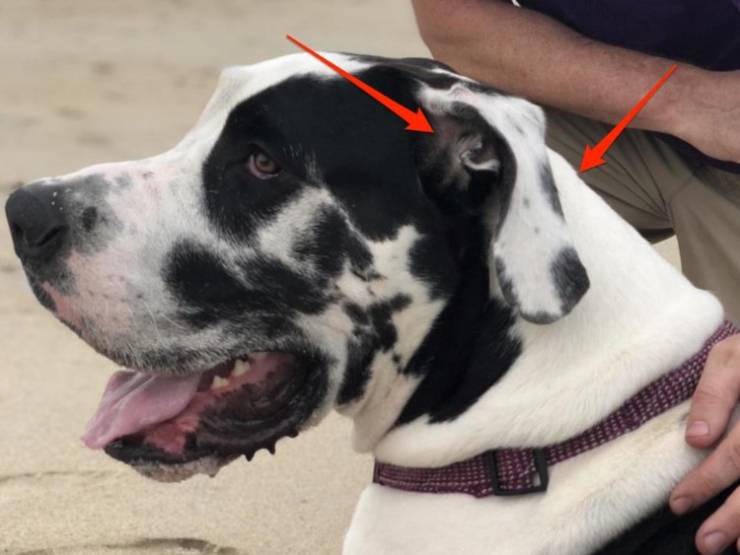 Coincidences Like These Don’t Happen Every Day