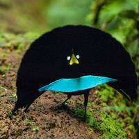 flexible girls will always be sexy 51 pics 2 gifs.html - 51 HD GIF | Premium Gallery 2020