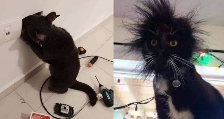 page,14,top 750 daily pics of the year 2019.html - 1 HD Photos | Premium Gallery 2019