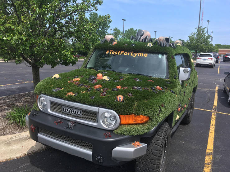 morning picdump 51 pics 10.html - 51 HD Photos | Premium Gallery 2019