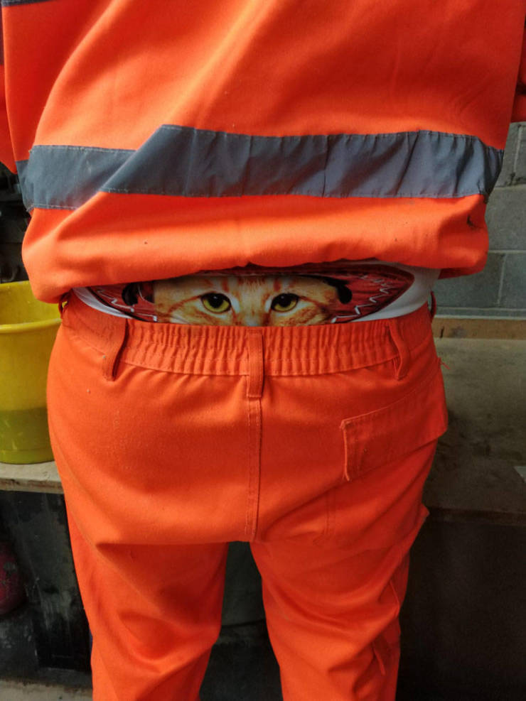 morning picdump 51 pics 10.html - 51 HD Photos | Premium Gallery 2019