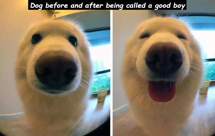 daily picdump 96 pics 10.html - 96 HD Photos | Premium Gallery 2019