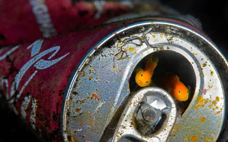 daily picdump 96 pics 10.html - 96 HD Photos | Premium Gallery 2019