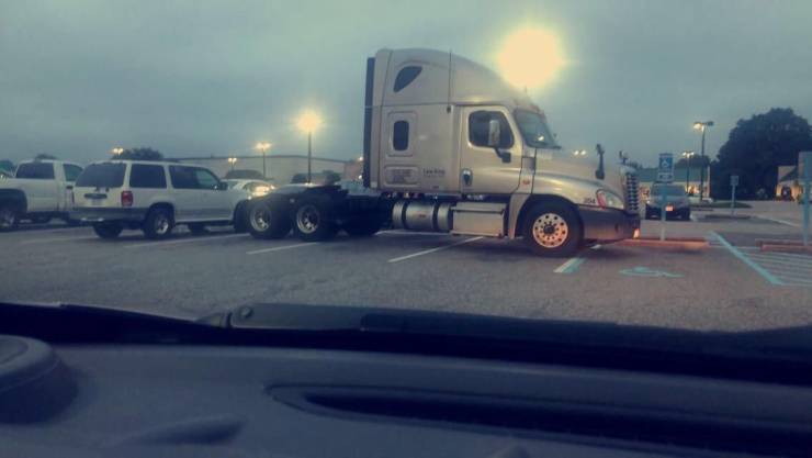 daily picdump 96 pics 10.html - 96 HD Photos | Premium Gallery 2019