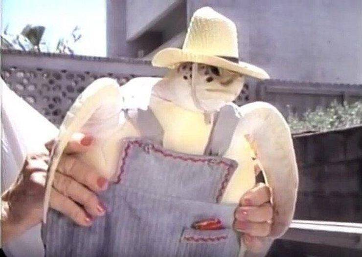 daily picdump 96 pics 10.html - 96 HD Photos | Premium Gallery 2019