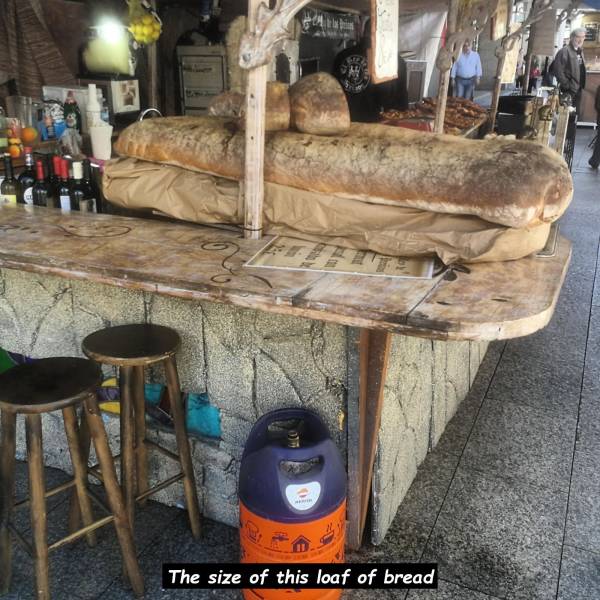 daily picdump 96 pics 10.html - 96 HD Photos | Premium Gallery 2019