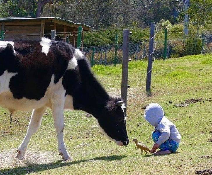 daily picdump 96 pics 10.html - 96 HD Photos | Premium Gallery 2019