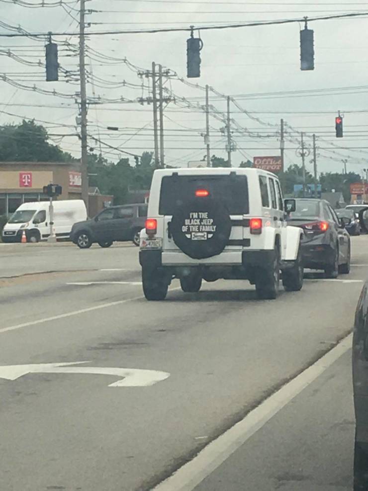 daily picdump 96 pics 10.html - 96 HD Photos | Premium Gallery 2019