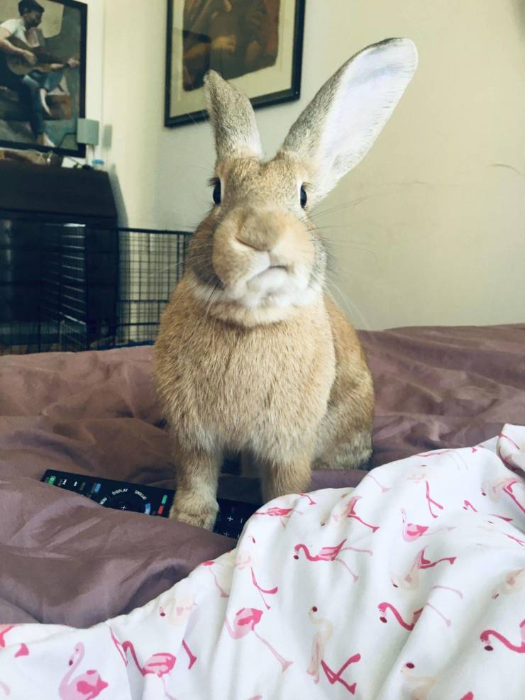 daily picdump 96 pics 10.html - 96 HD Photos | Premium Gallery 2019