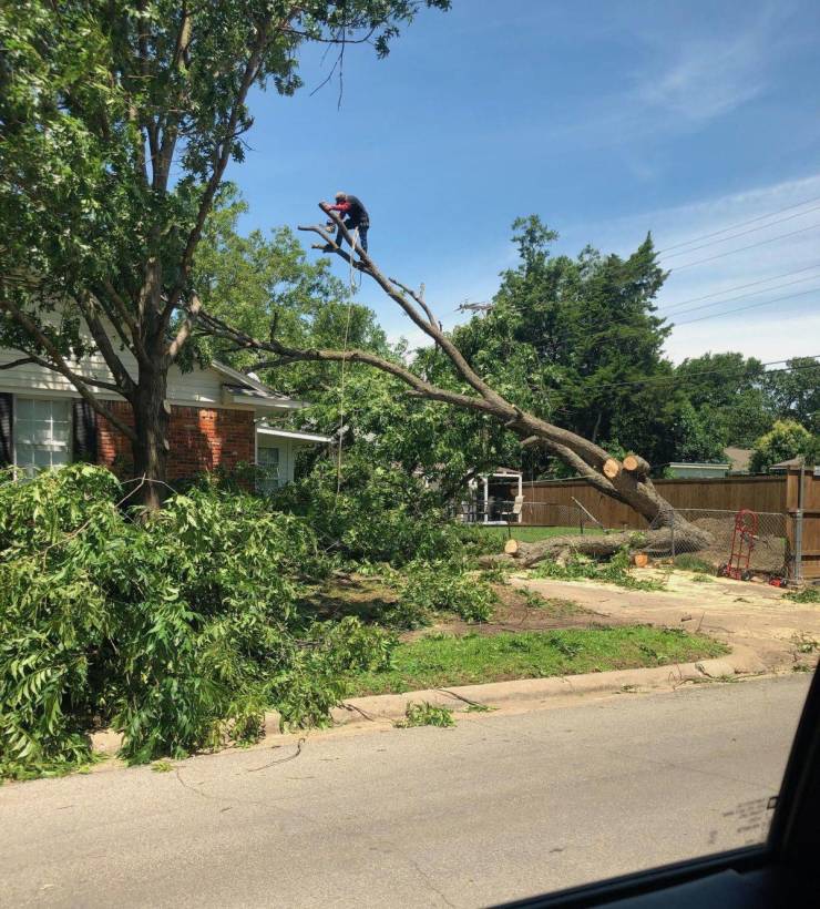 daily picdump 96 pics 10.html - 96 HD Photos | Premium Gallery 2019