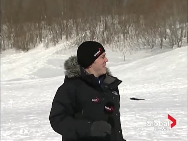 page,2,top 75 videos of the year 2019.html - 1 HD Video | Premium Gallery 2019