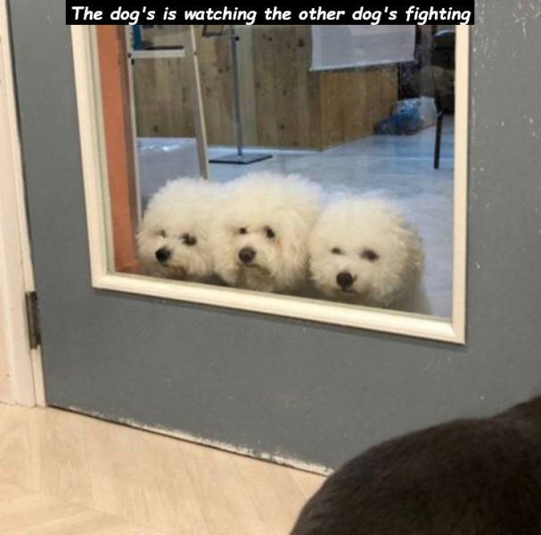 daily picdump 95 pics 46.html - 95 HD Photos | Premium Gallery 2019