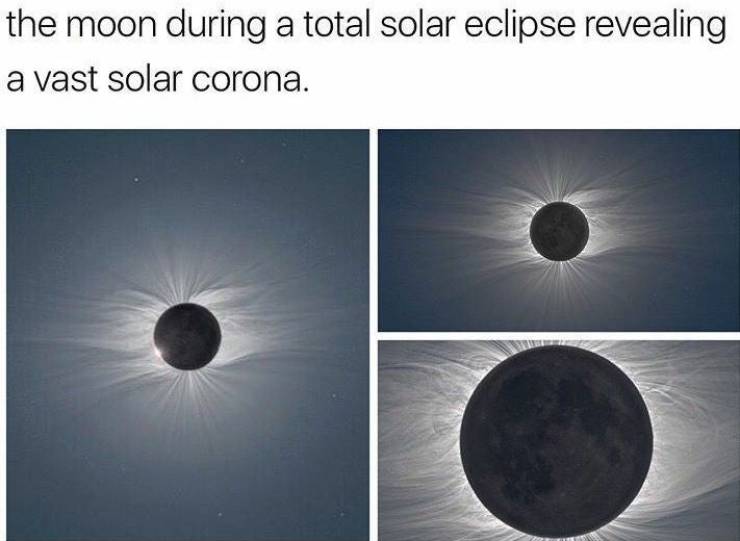 daily picdump 95 pics 46.html - 95 HD Photos | Premium Gallery 2019