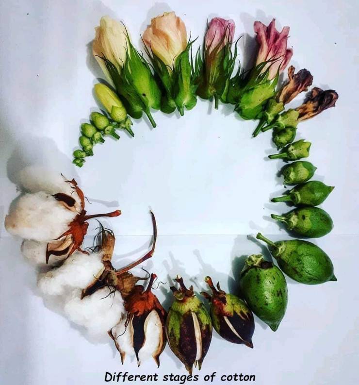 daily picdump 95 pics 46.html - 95 HD Photos | Premium Gallery 2019